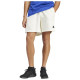 Adidas Ανδρικό σορτς Z.N.E. Premium Shorts